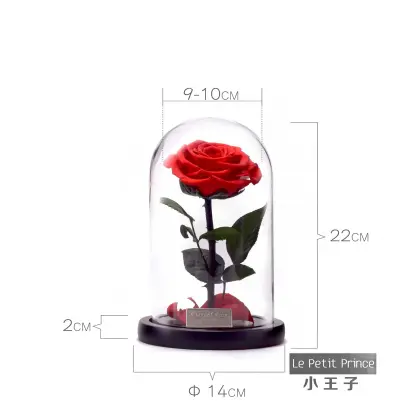Little Prince Preserve Rose Glass Dome