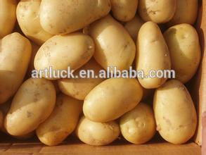 Fresh potato