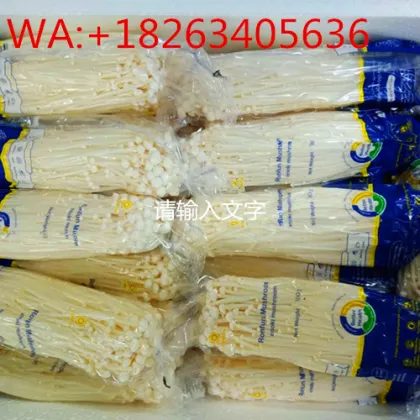 Needle White MushRoom