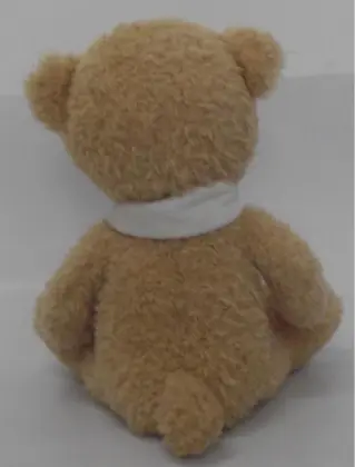 Teddy bear plush toy bear doll toy doll