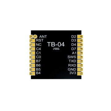 BT 5.0 Modulo Mesh BL E 5.0 TB-04 Mini dimensione Nuovo prodotto