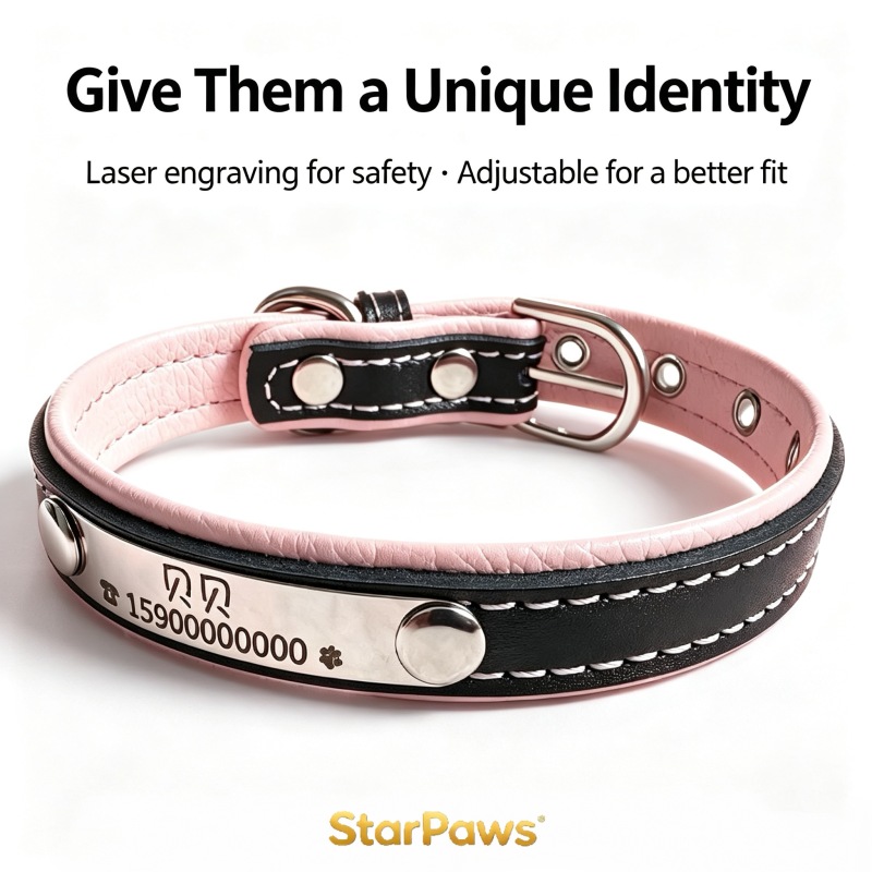 Custom Engraved Leather Dog Collar with ID Tag
