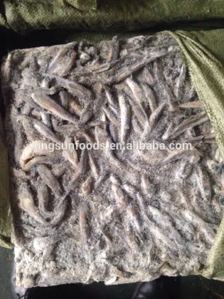 Frozen Anchovy