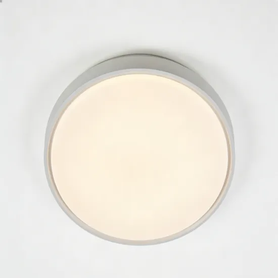 Indoor panel ceiling lamp