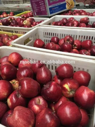 Highland Red Apples