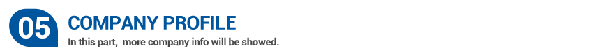 COMPANY PROFILE-10