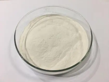 Best dragon fruit powder pitaya extract