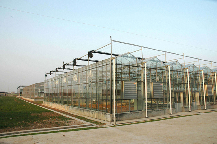  Glass Greenhouse Gardening