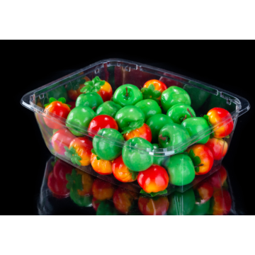 Salad Vegetable and Fruit Storage Container