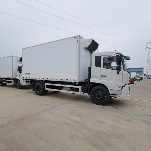 Dongfeng Tianjin Holraring Truck