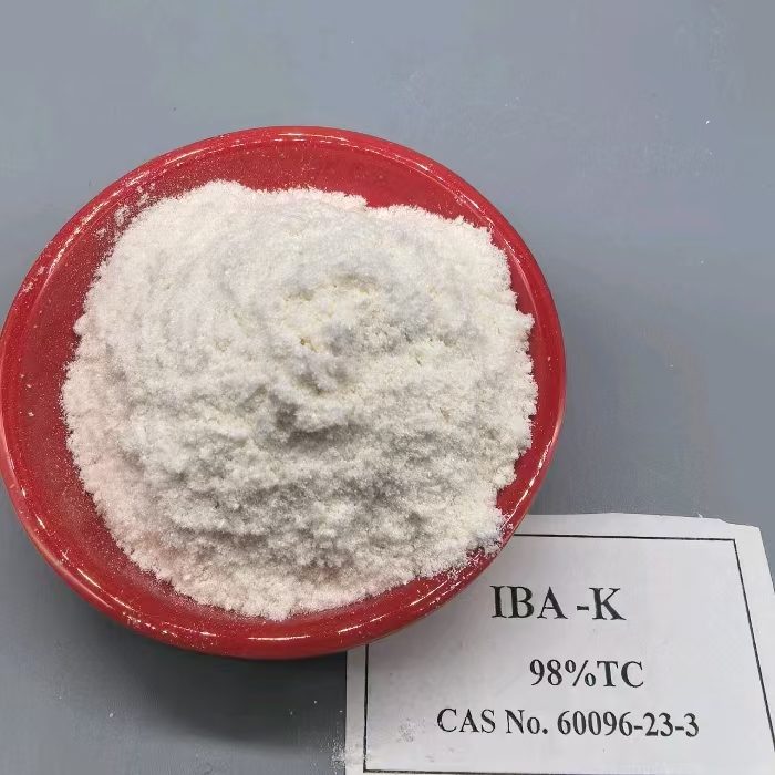 Auxin IBA IBA-K Indole-3-butyric acid Potassium salt plant growth regulator