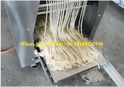 New Type Dry Rice Noodle Machine for Southeast Asia
