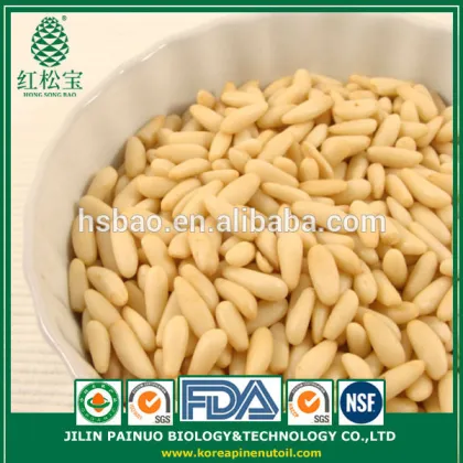 Promotion Grade A Wild Harvest Chinese Red Pine Nut Kernels