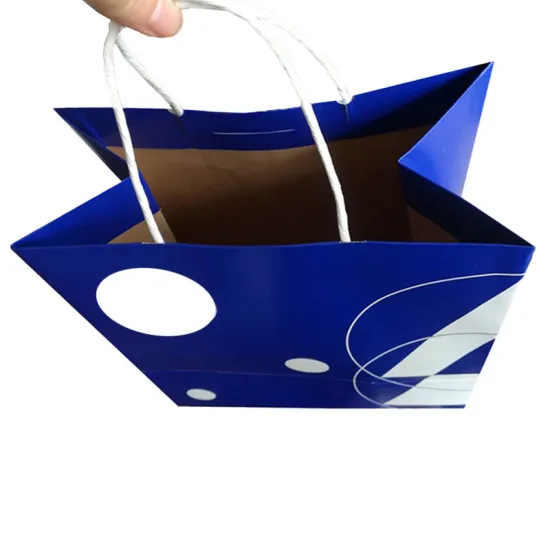 Christmas Wrapped Gift Carton Bag