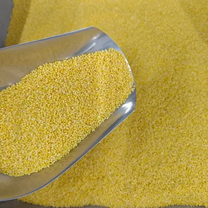 Wholesale Premium Chinese Millet: A Nutritious Treasure for the World