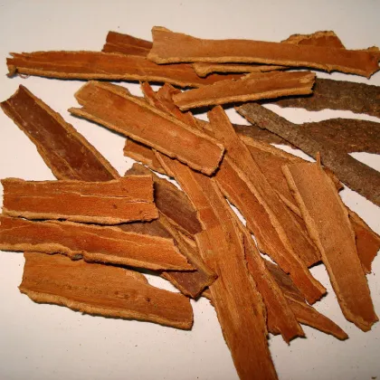 Wholesale Prices for High-Quality Dry Ceylon Cinnamon - Single Species