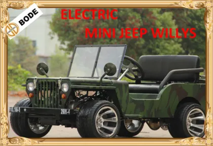 Cheap 1500 W Electric Go Kart