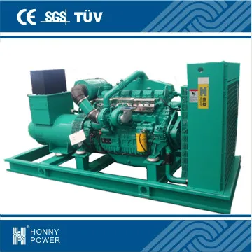1000rpm ,275kVA diesel generator set  (Steady power,low maintenance)