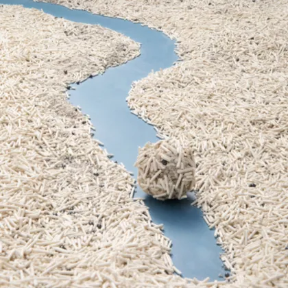 Best Mixed Cat Litter for Odor Control