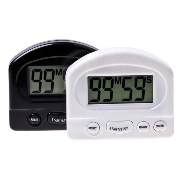 Small Digital Timer with Monthly Scheduler