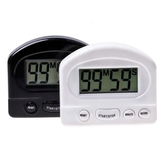 Small Digital Timer with Monthly Scheduler