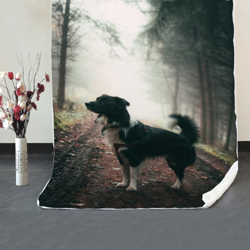 customized double king size 3D animal dog print fleece blanket