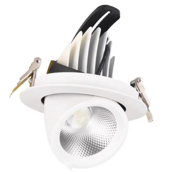 High-Quality AC85-265V COB Downlight with 10W to 40W Options and 360 Degree Adjustment
