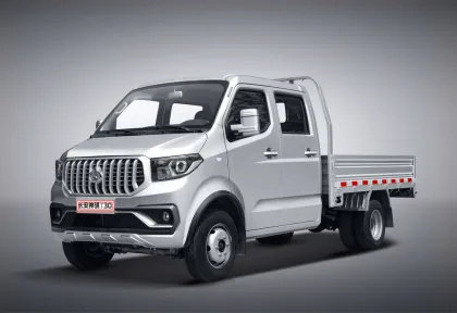 ChangAn Shenqi T30 Mini Truck with air conditioning
