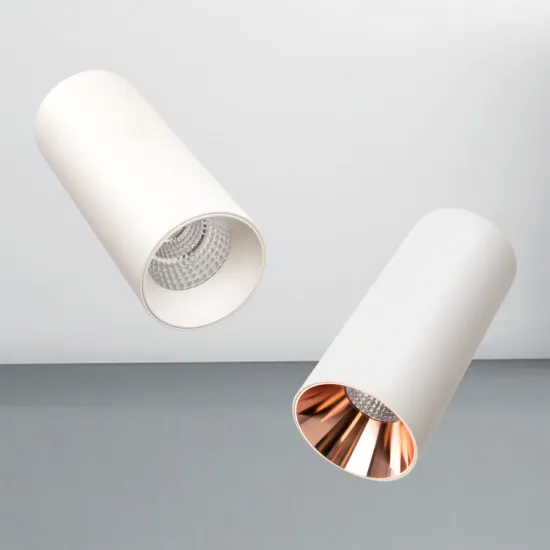 White Color Surface Mounted Led Downlight Gold Reflctor