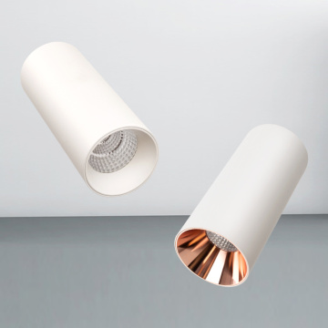 Felületre szerelt kerek LED -es Downlight mennyezeti arany visszaverődő