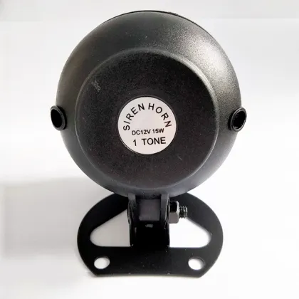 High-decibel speaker with voice customization