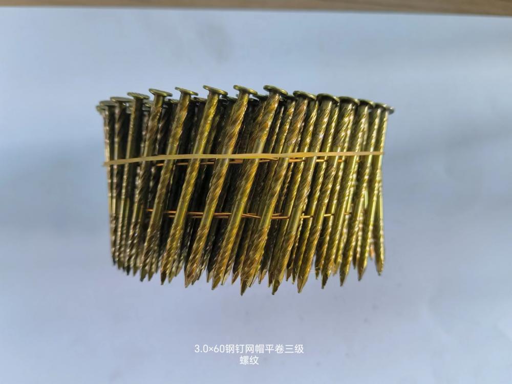 3.0*60Mall Cap Steel Nails