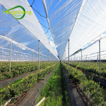 Orchard cover rains proof transparent pe woven film