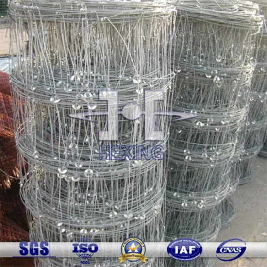 Hot Dipped Galvanized Sheep/Horse/Cattle Fence