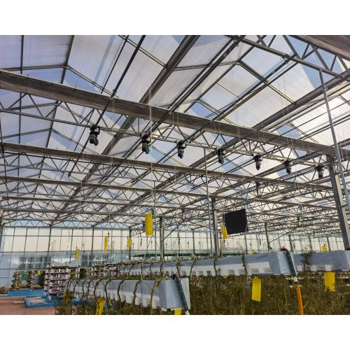 Polycarbonate Stereoscopic Planting Greenhouse