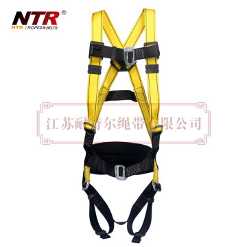 NTR BEESAFE 10P1F one d-ring safety harness with pass thru connections