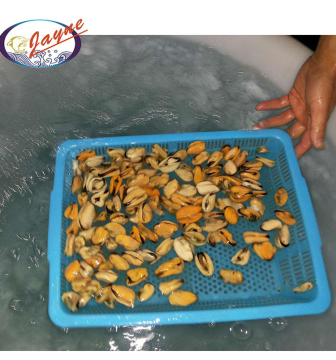 High Quality Cooked Whole Freshwater Shells Frozen Snacks Production Mussels Meat For Sale