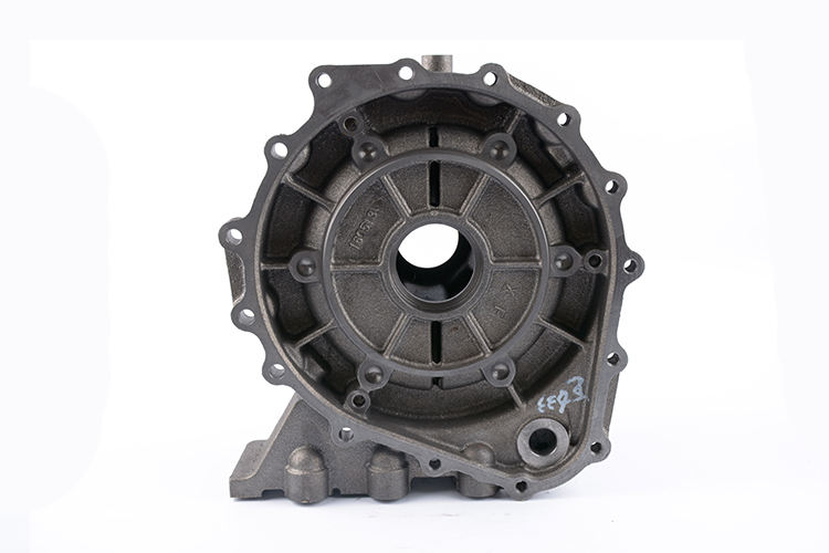 Cast iron variable speed housing