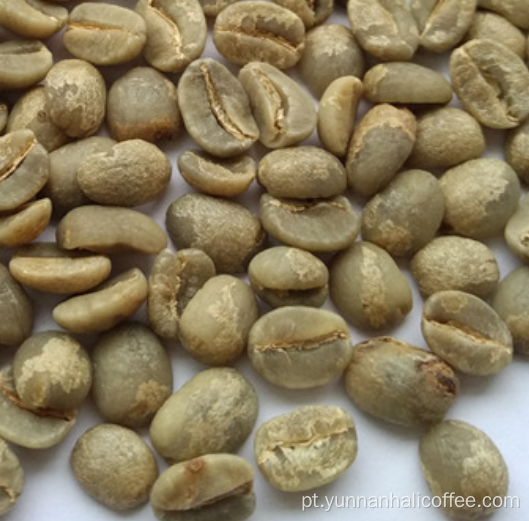 Feijão Verde Hali Typica