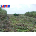 Good quality durable machine whole stalk sugarcane harvester