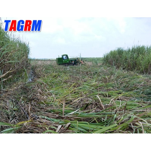 Cosechadora de caña de azúcar de tallo entero de máquina duradera de buena calidad