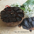 Anti-Aging Organic Black Garlic With FDA Certificate