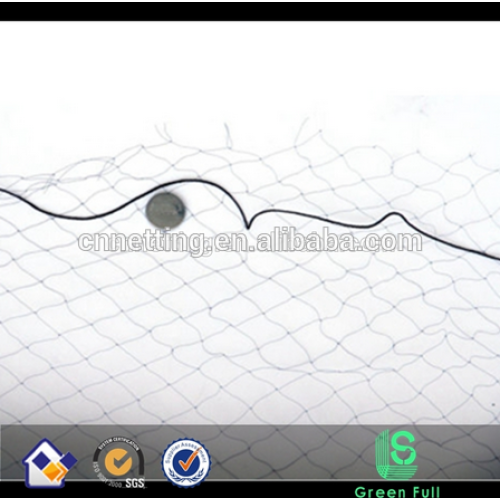Grande venda de rede de névoa para pássaros Black Pigeon