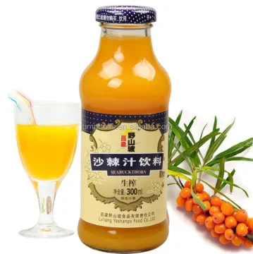 industrial pineapple juice/pulp processing machines