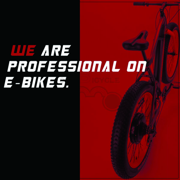 e-bike