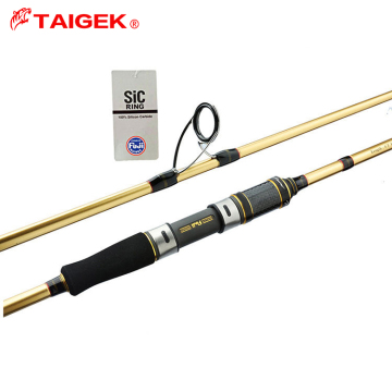FUJI SIC Guide Carbon Fishing Rod for Slow Jigging - 1.9m, 100-300g Lure Weight