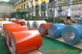 Prepainted galvanis Steel Coil PPGI