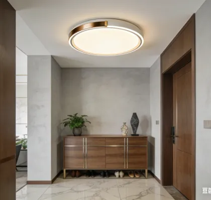 Modern home ceiling lamp