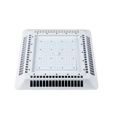 200W Surface Recessed Mount Ceiling Installation LED Canopy Lights: Wholesale Lighting Solutions