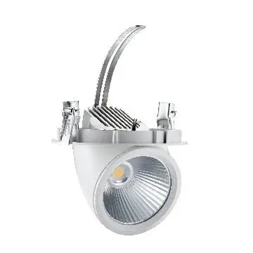 LED  Adjustable angle eye downlight